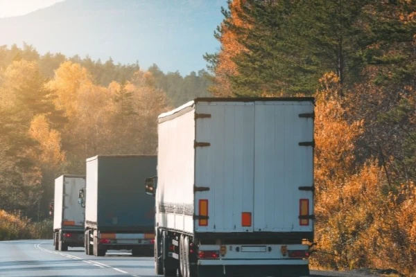 Ankara Havza Nakliyat